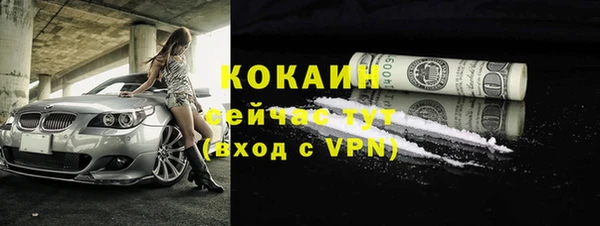 гашик Бородино