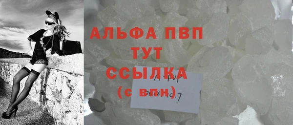 гашик Бородино