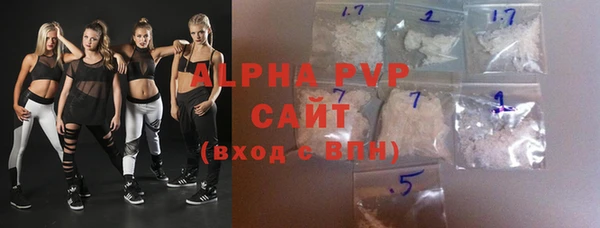 гашик Бородино