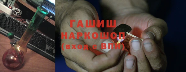 гашик Бородино