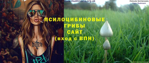 гидра Бугульма