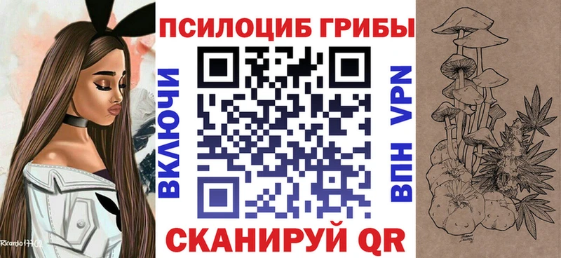 Купить  Михайловка  Псилоцибиновые грибы Psilocybine cubensis 